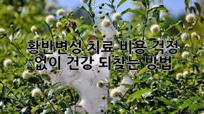 👁️ 황반변성 치료, 비용 걱정 없이 건강 되찾는 방법 💯