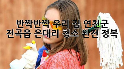 ✨ 반짝반짝 우리 집! 연천군 전곡읍 은대리 청소 완전 정복 🏡
